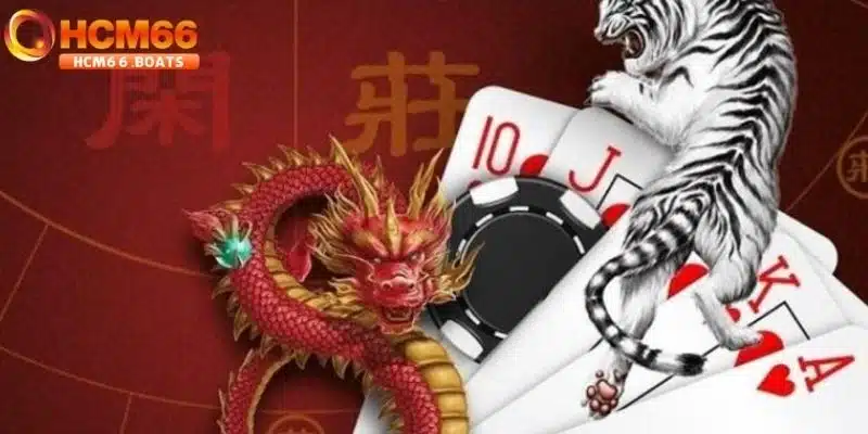 Các chiến thuật hay của cao thủ trong cách chơi Dragon Tiger hiệu quả